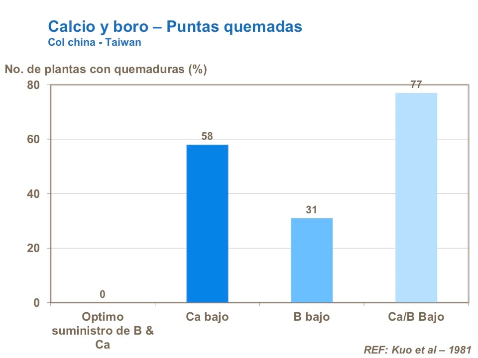 fle3